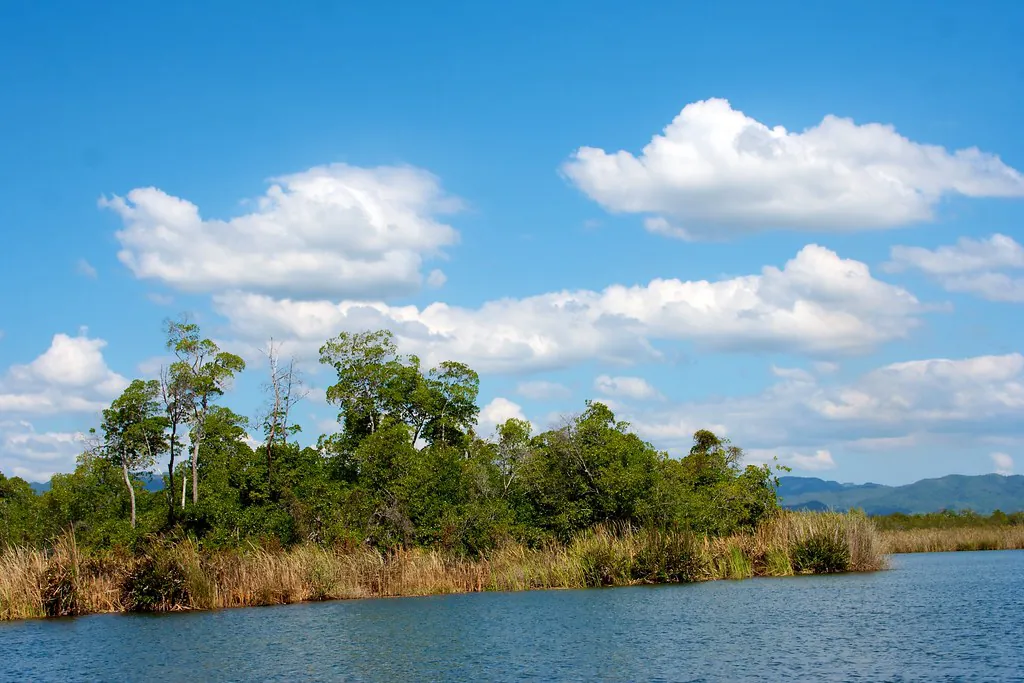 Black RIver Jamaica